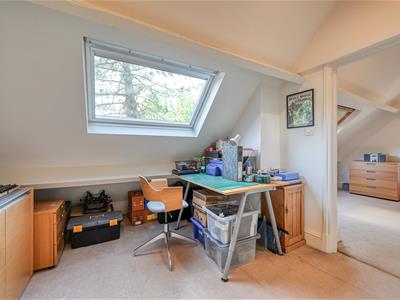 Picture 19